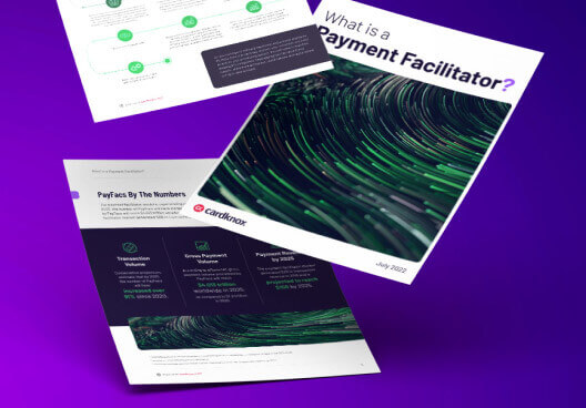 Read the PayFac white paper
